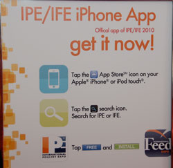 IPE