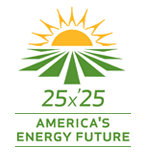 25x25 logo
