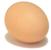 Egg