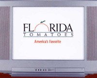 Florida Tomatoes