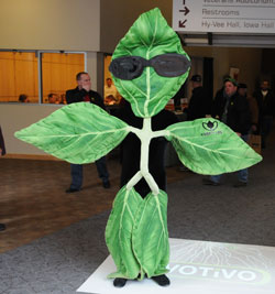Soybean Man