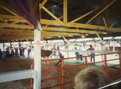 Osborne and Barr AgNess Winner 