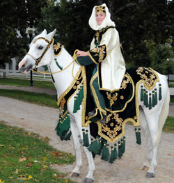 Arabian Horse