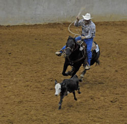 Calf Roping