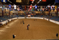 Appaloosa World Show