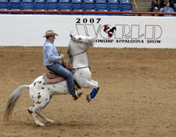 The Lipizzaner Move