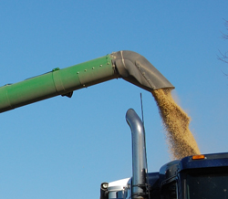 headline harvest soybeans