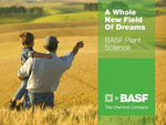 A Whole New Field of Dreams