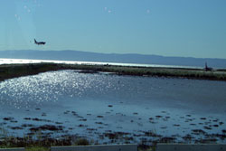 Oakland Airport