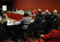 Issues Management Meeting
