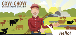 cow chow