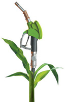 Corn Fuel