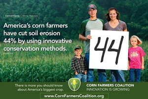 corn