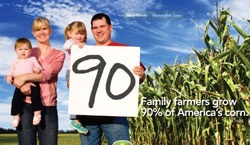 corn family