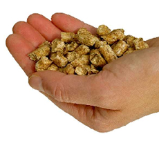 corn