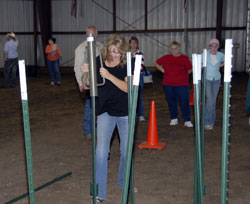Country Living Olympics Steel Post Driving