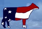 All American Dairy Show
