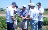 Dairy Australia Tour Photo