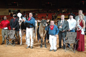 Grand and Reserve Champions