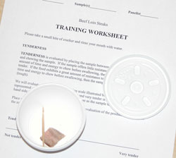 Elanco Worksheet