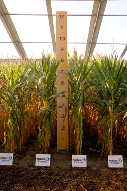 Monsanto Road Map To Success Tour