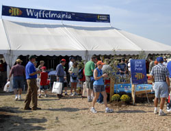 Wyffelmania