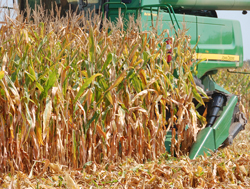 Farm Progress 2009 harvest demo