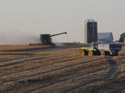 Soybean Harvesting