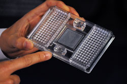 Fluidigm Chip