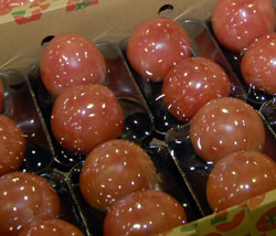 Tomatoes
