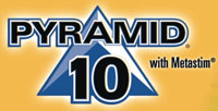 Fort Dodge Animal Health Pyramid 10