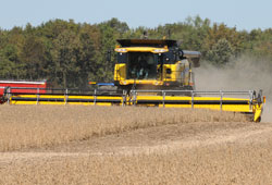 Soybean Harvest