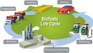 DOE Biofuels graphic