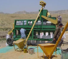 Iraq Wheat Harvest