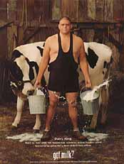 Holstein Association USA