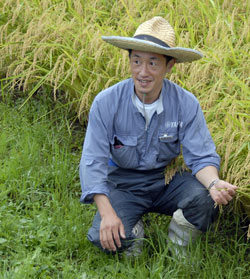 Rice Guy