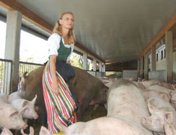 Austrian Vulcano hog farm