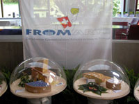 Cheese Display