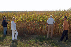 Austria Corn