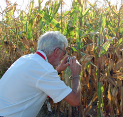 Austria Corn