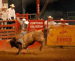 IFAJ billybob's