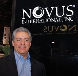 novus