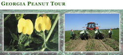 Georgia Peanut Tour