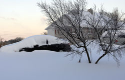 Snow at Home
