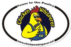 chicken