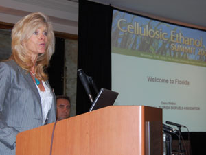 Cellulosic Summit Dana Weber