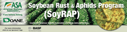 SoyRAP