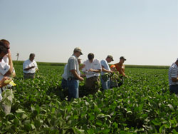 Syngenta Learning Centers