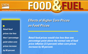 USDA Food Fuel Power Point