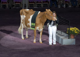 Supreme Champion